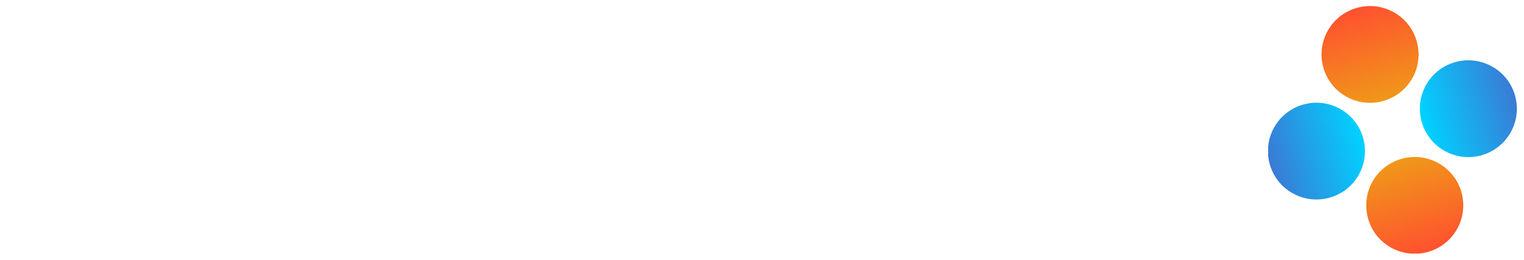 Rokiškio IT